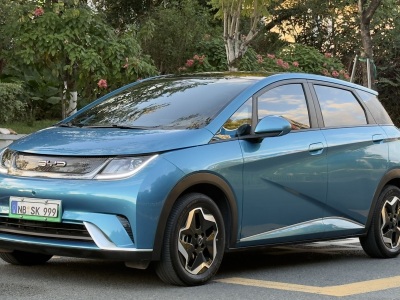 比亚迪 海豚 2021款 405km 时尚版