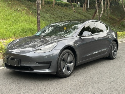 特斯拉 Model 3 2019款 标准续航后驱升级版