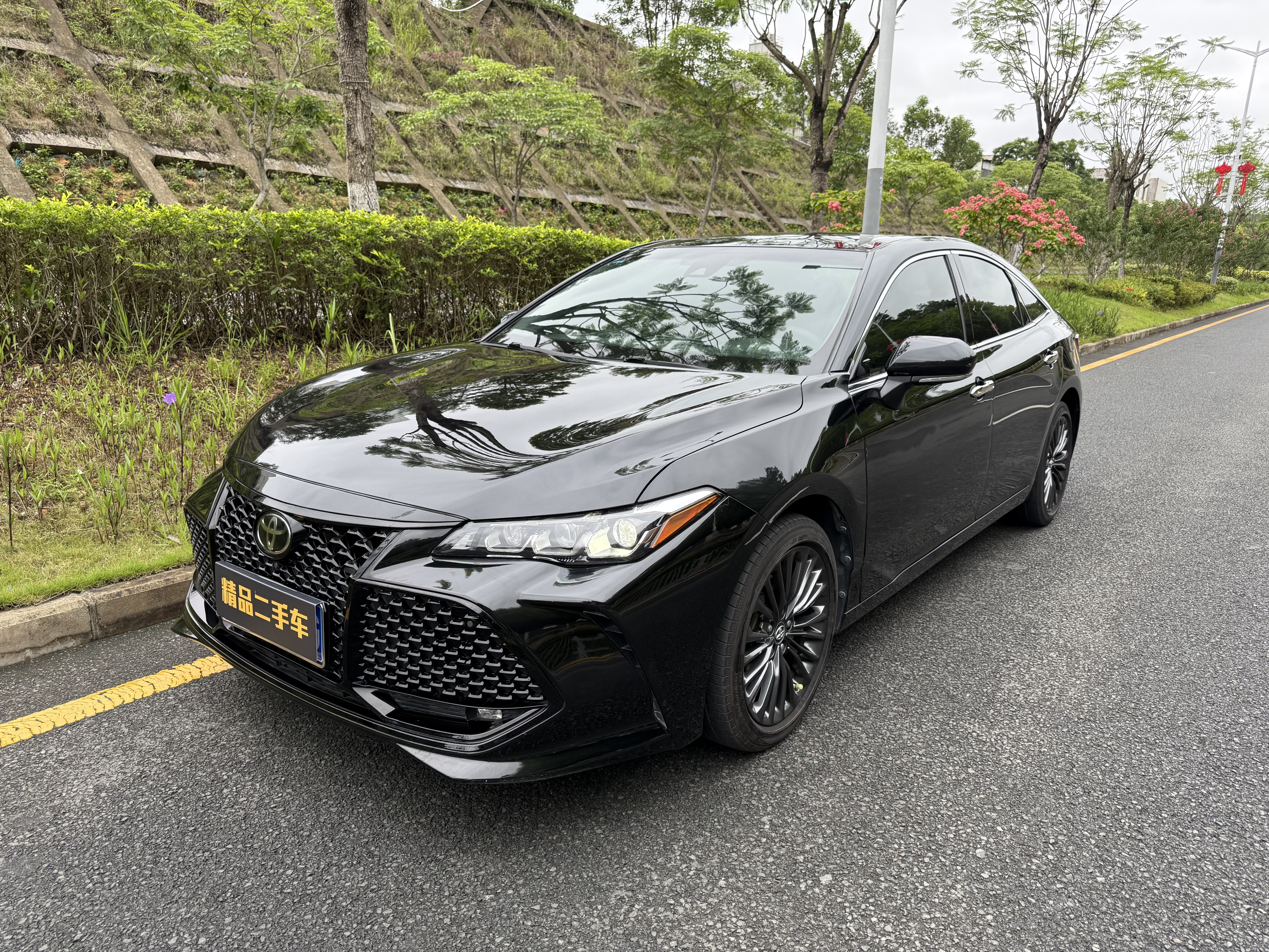 丰田 亚洲龙 2019款 2.0L XLE尊享版 国VI