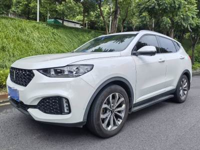 WEY VV6 2018款 2.0T 两驱旗舰型 国V