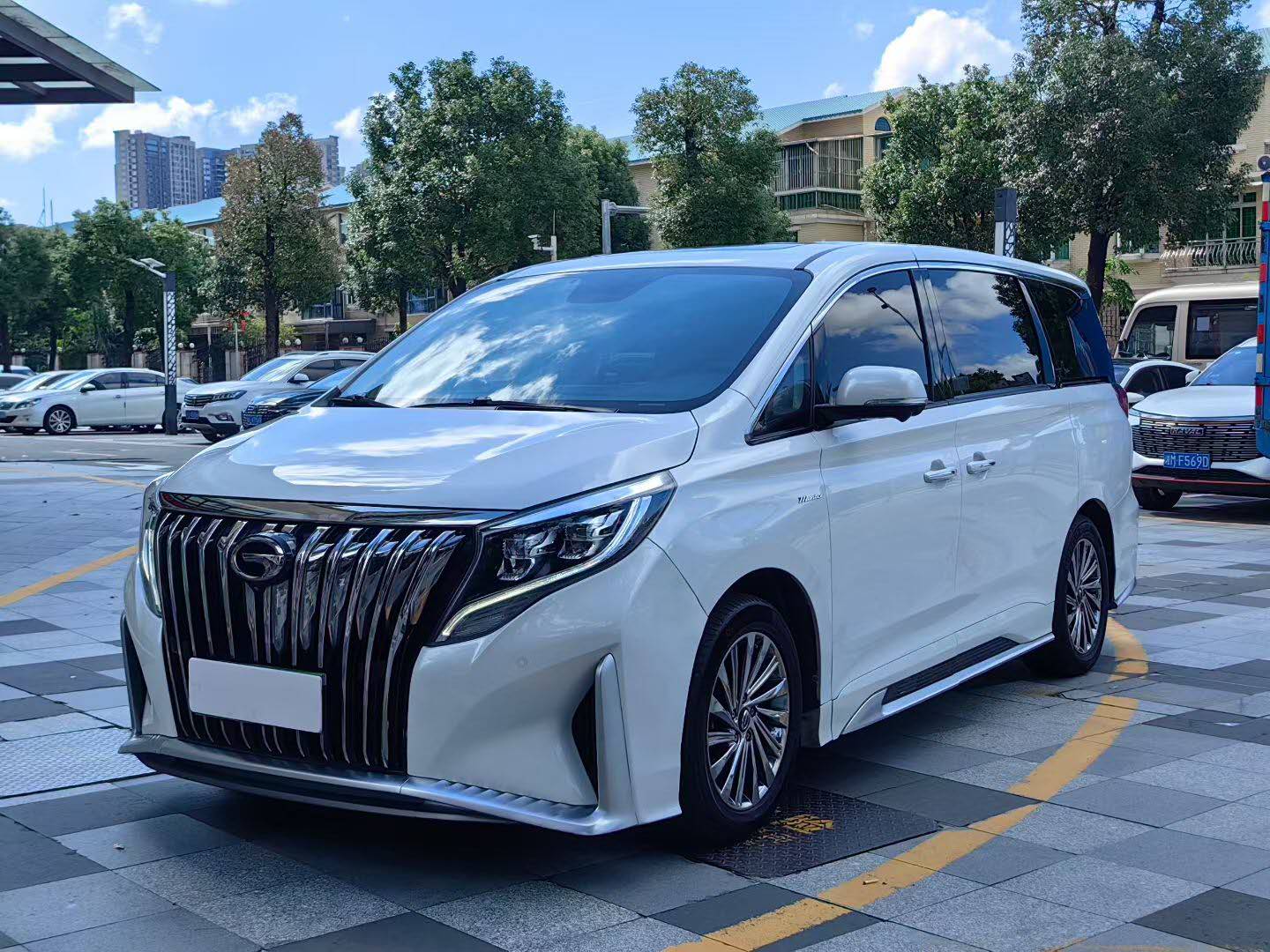 广汽传祺 传祺M8 2021款 大师系列 390T 至尊版