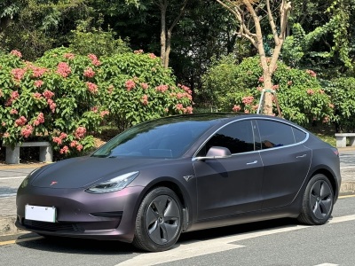 特斯拉 Model 3 2020款 改款 标准续航后驱升级版