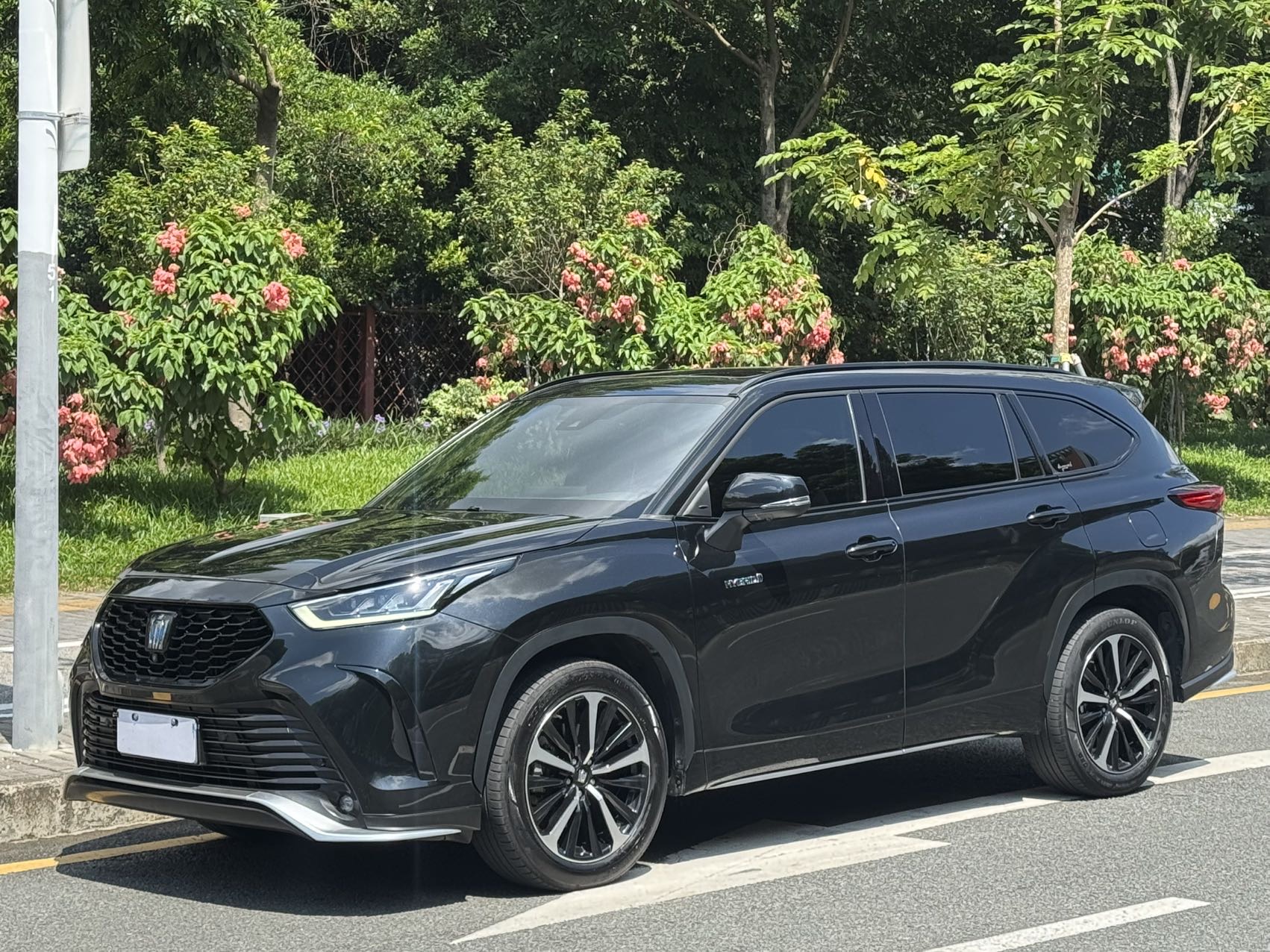 丰田 皇冠陆放 2021款 2.5L HEV四驱尊贵版