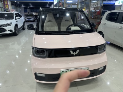 五菱汽车 五菱宏光新能源 2024款 纯电版 300KM 标准型