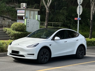 特斯拉 Model Y 2024款 后轮驱动版