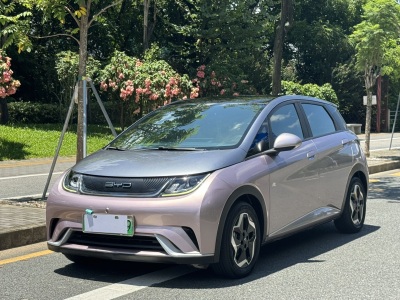 比亚迪 海豚 2021款 405km 自由版