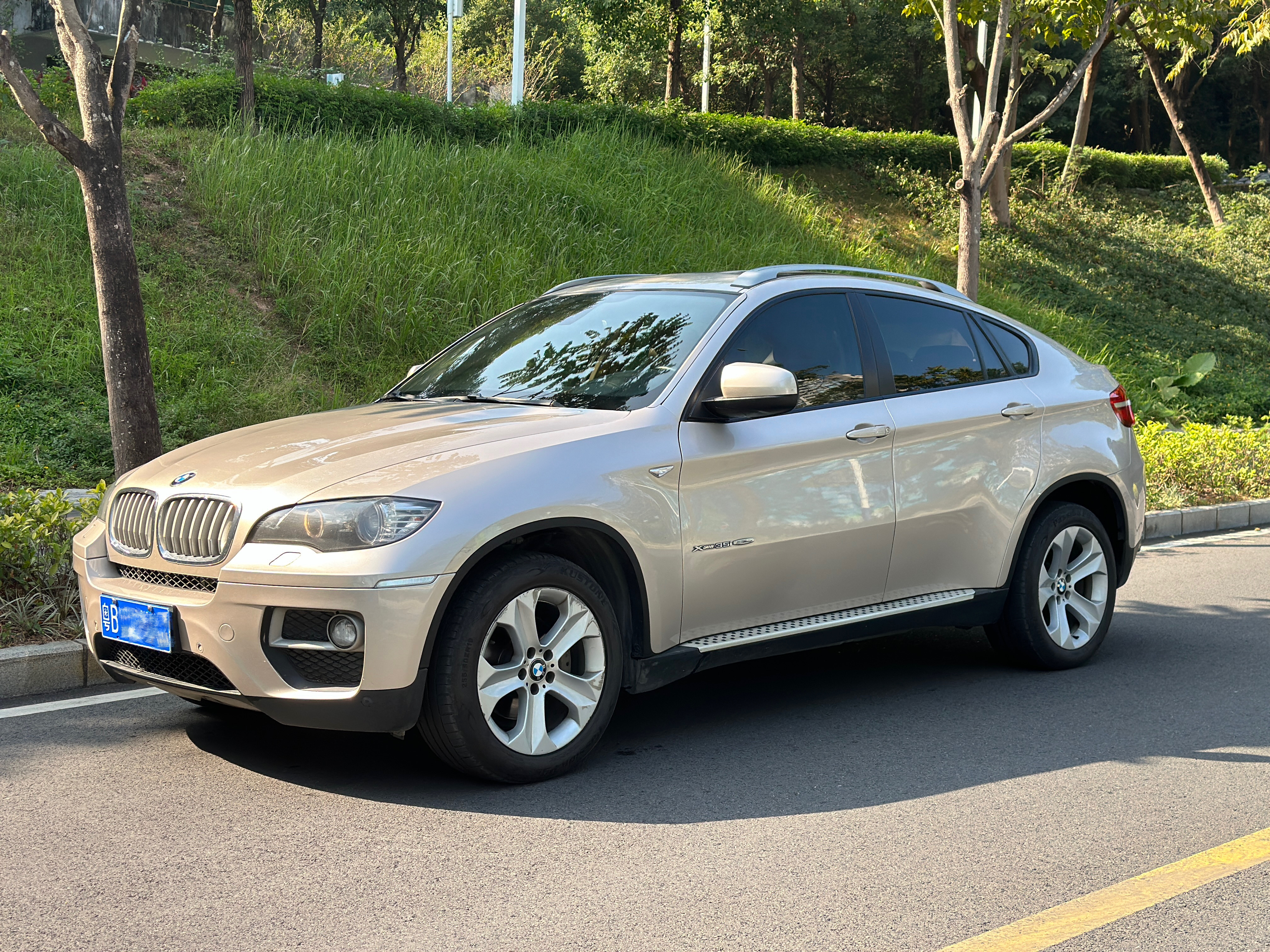 宝马X6 2013款 xDrive35i