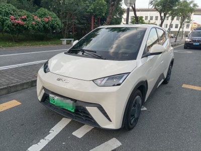 比亚迪 海鸥 2024款 荣耀版 305km 活力版