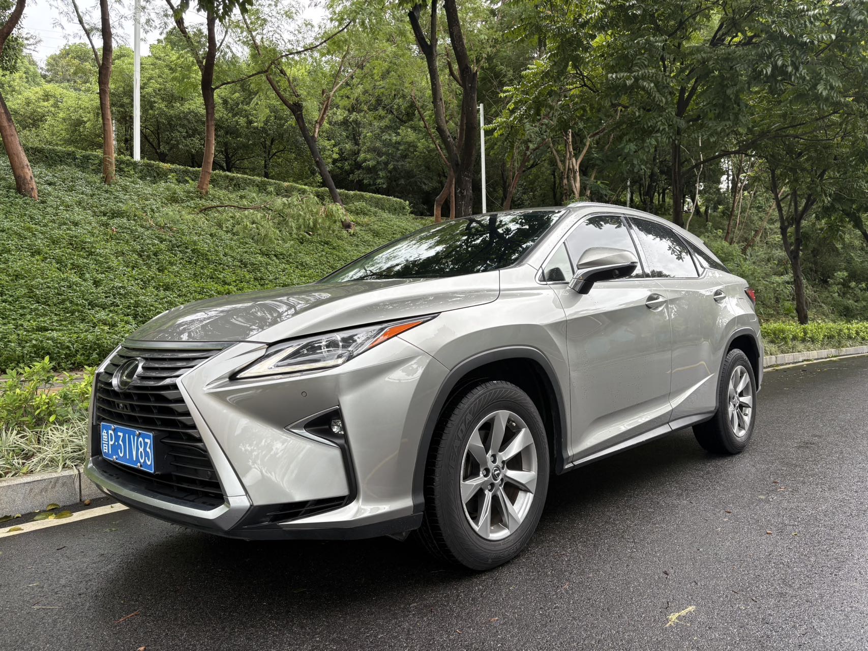 雷克萨斯RX 2020款 300 两驱舒适版 国VI