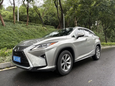 雷克萨斯RX 2020款 300 两驱舒适版 国VI