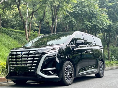 腾势D9 2024款 DM-i 980 四驱尊贵型