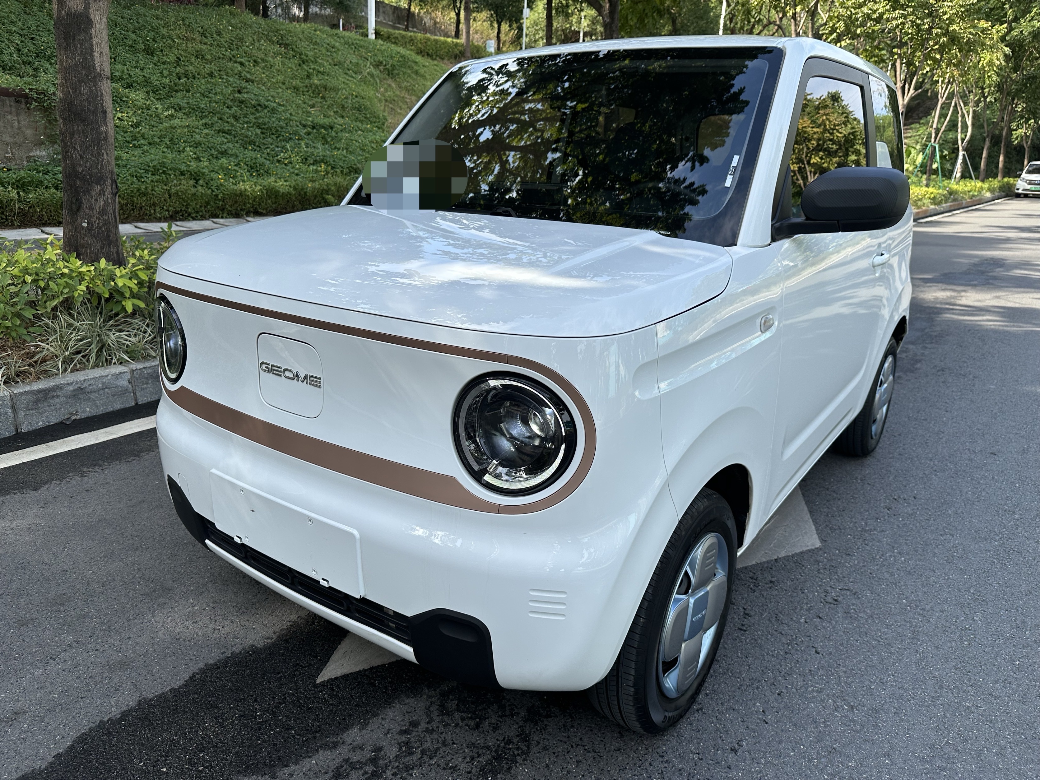 吉利汽车 熊猫mini 2023款 熊猫mini 200km 耐力熊