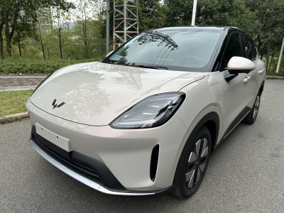 五菱汽车 缤果S 2025款 430km 尊享款