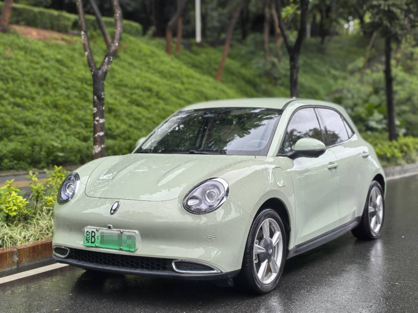 欧拉好猫 2023款 401km标准续航 豪华型 三元锂