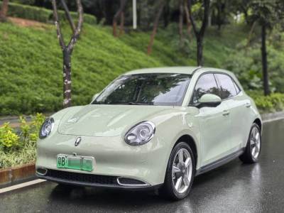 欧拉好猫 2023款 401km标准续航 豪华型 三元锂