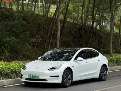 特斯拉 Model 3(进口) 2019款 标准续航后驱升级版