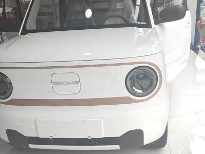 吉利汽车 熊猫 2024款 熊猫mini 200km 耐力熊