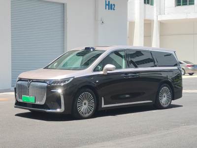 岚图汽车 岚图梦想家 2025款 PHEV 四驱旗舰乾崑版