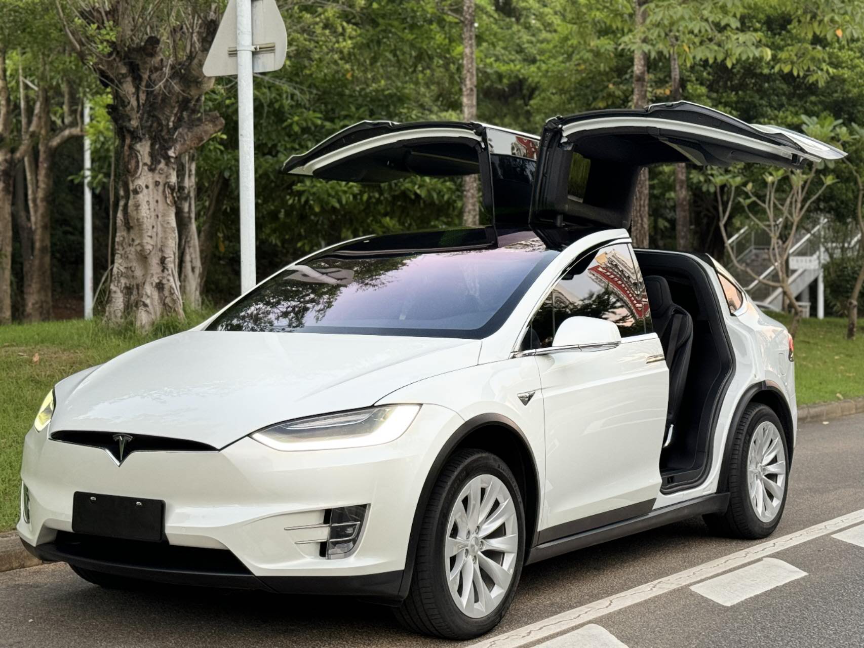 特斯拉 Model X 2020款 长续航升级版