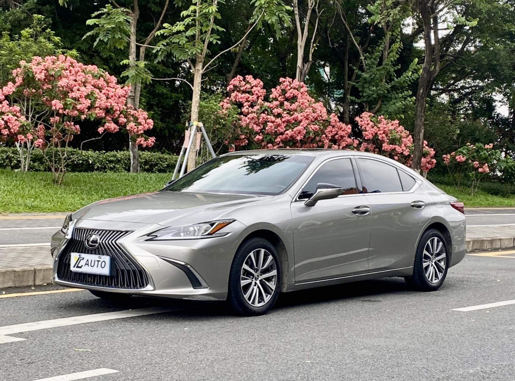 雷克萨斯ES 2020款 200 卓越版