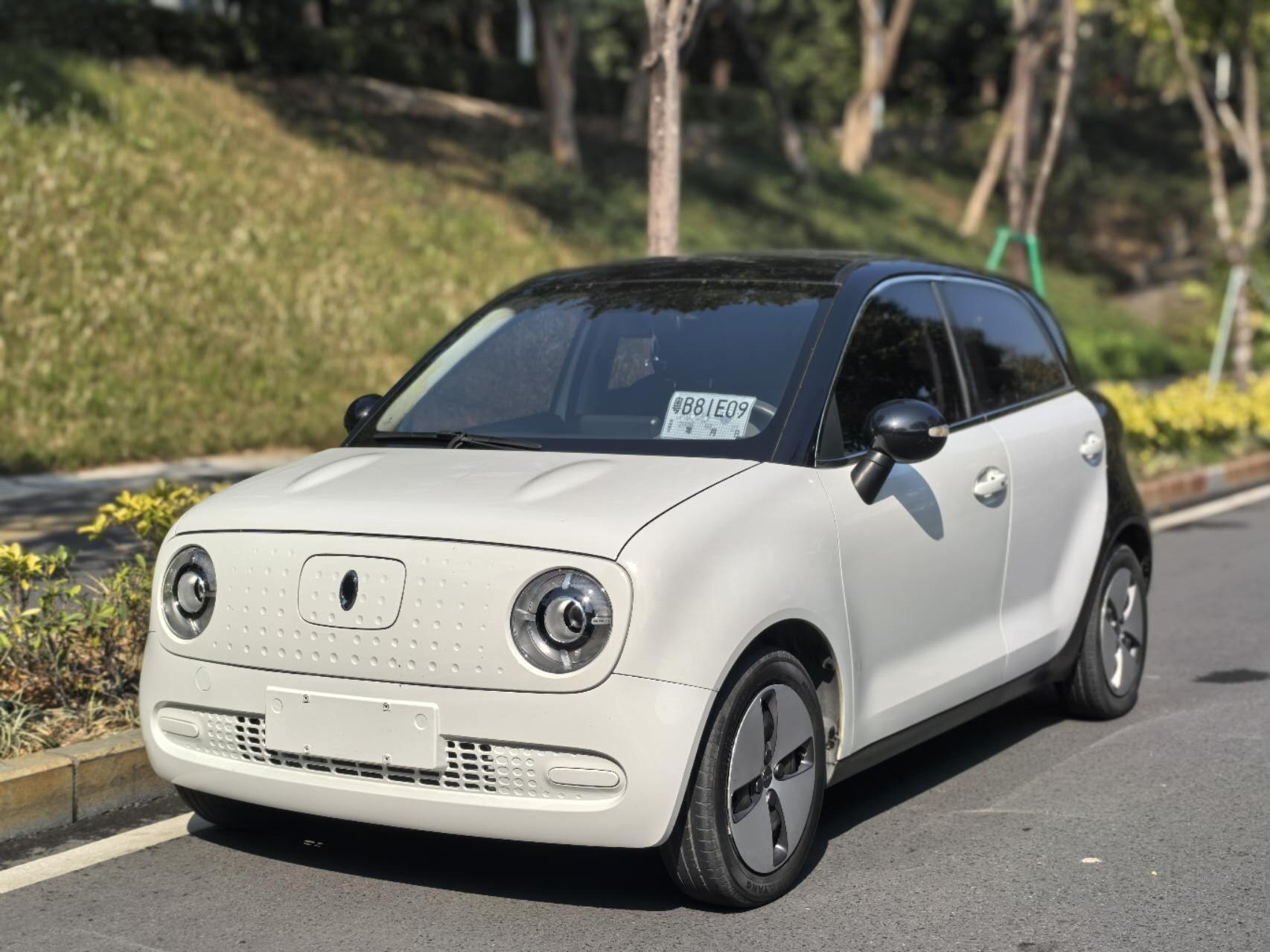 欧拉黑猫 2021款 301km 萌宠版