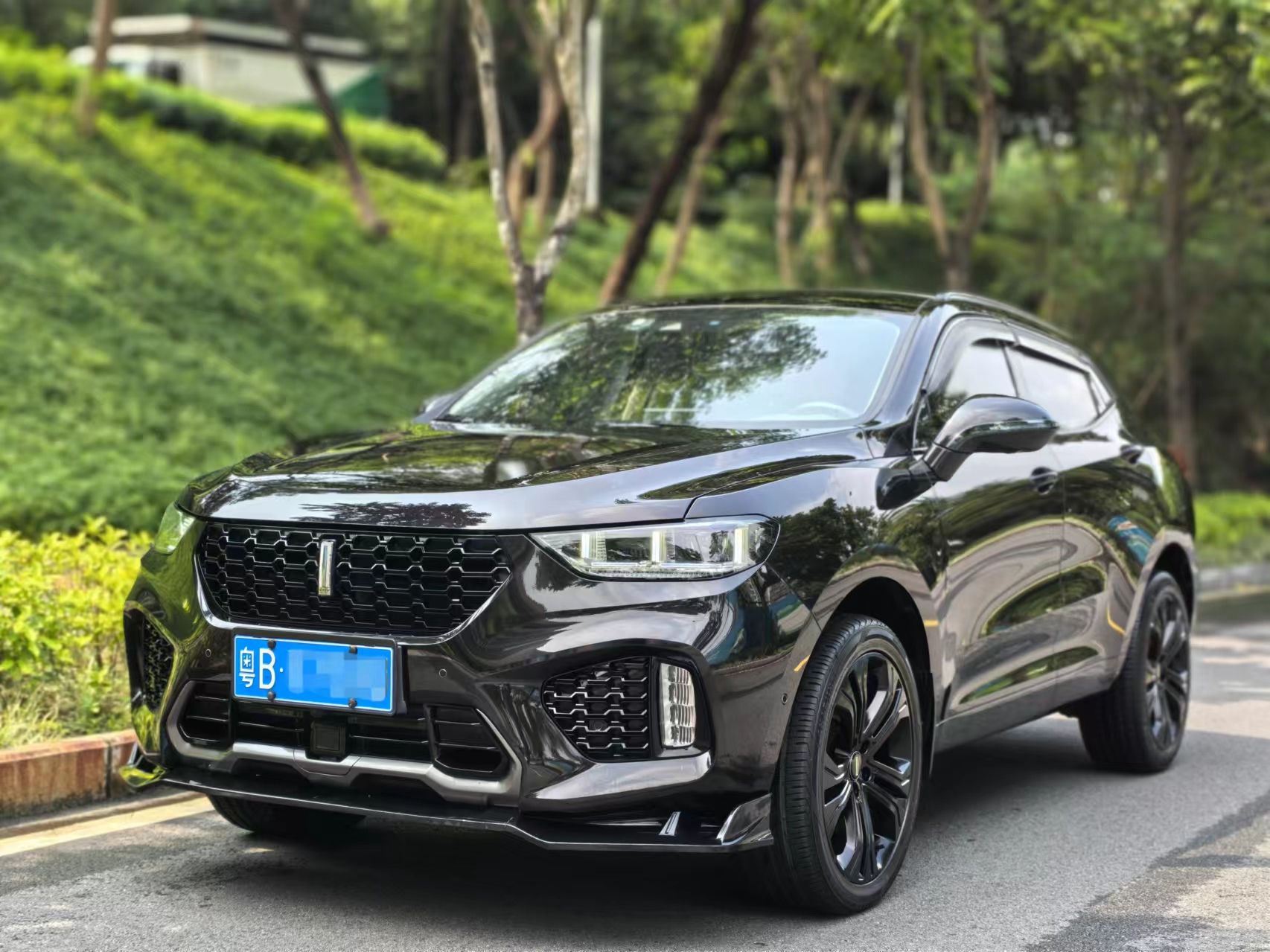 WEY VV5 2019款 升级款 2.0T 两驱旗舰型 国V