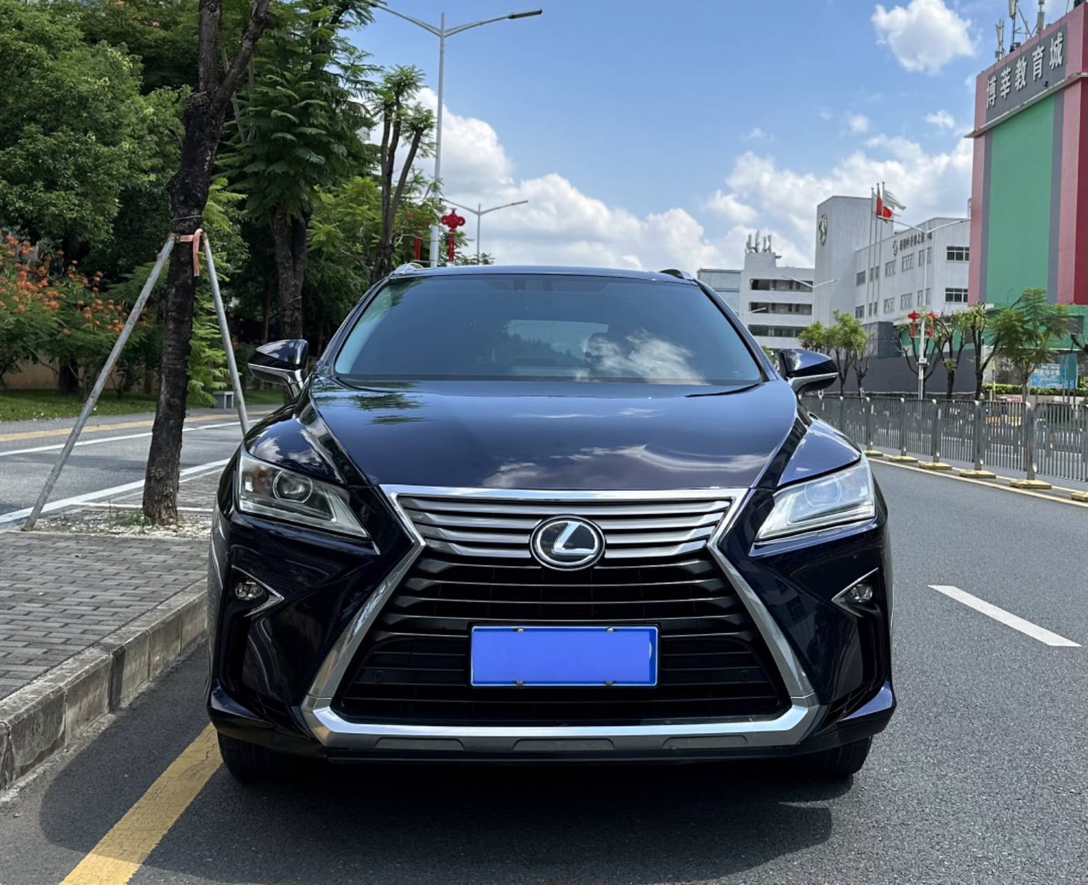 雷克萨斯RX 2016款 300 两驱精英版 国V