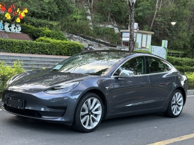 特斯拉 Model 3 2019款 标准续航后驱升级版